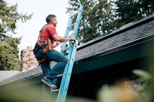 Best Chimney Flashing Repair  in Wheeler Af, HI
